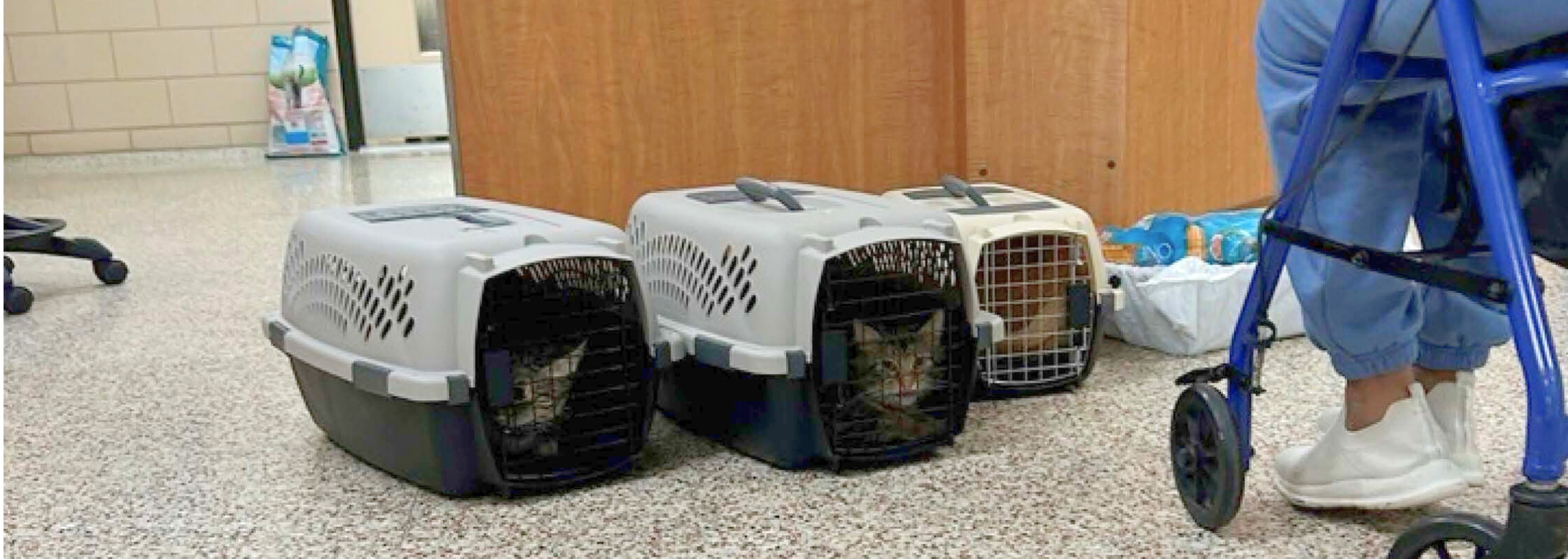 Home at Last: A Heartwarming Reunion After the Storm